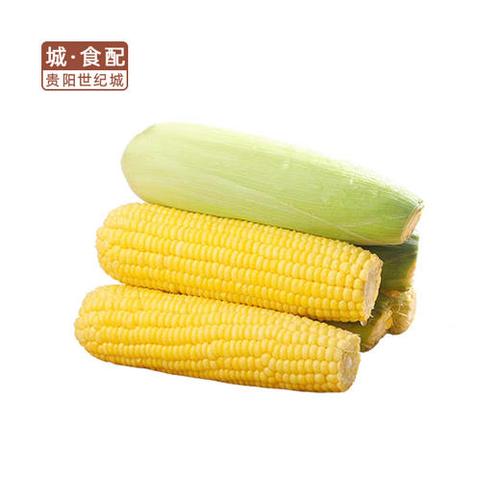 【gy】水果玉米(精包)750g